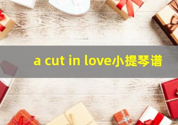 a cut in love小提琴谱